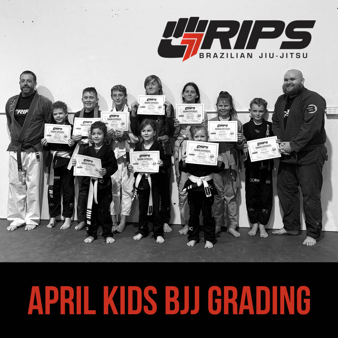 Kids Bjj Grading