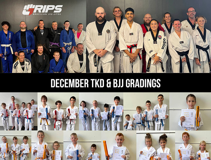 DECEMBER GRADINGS