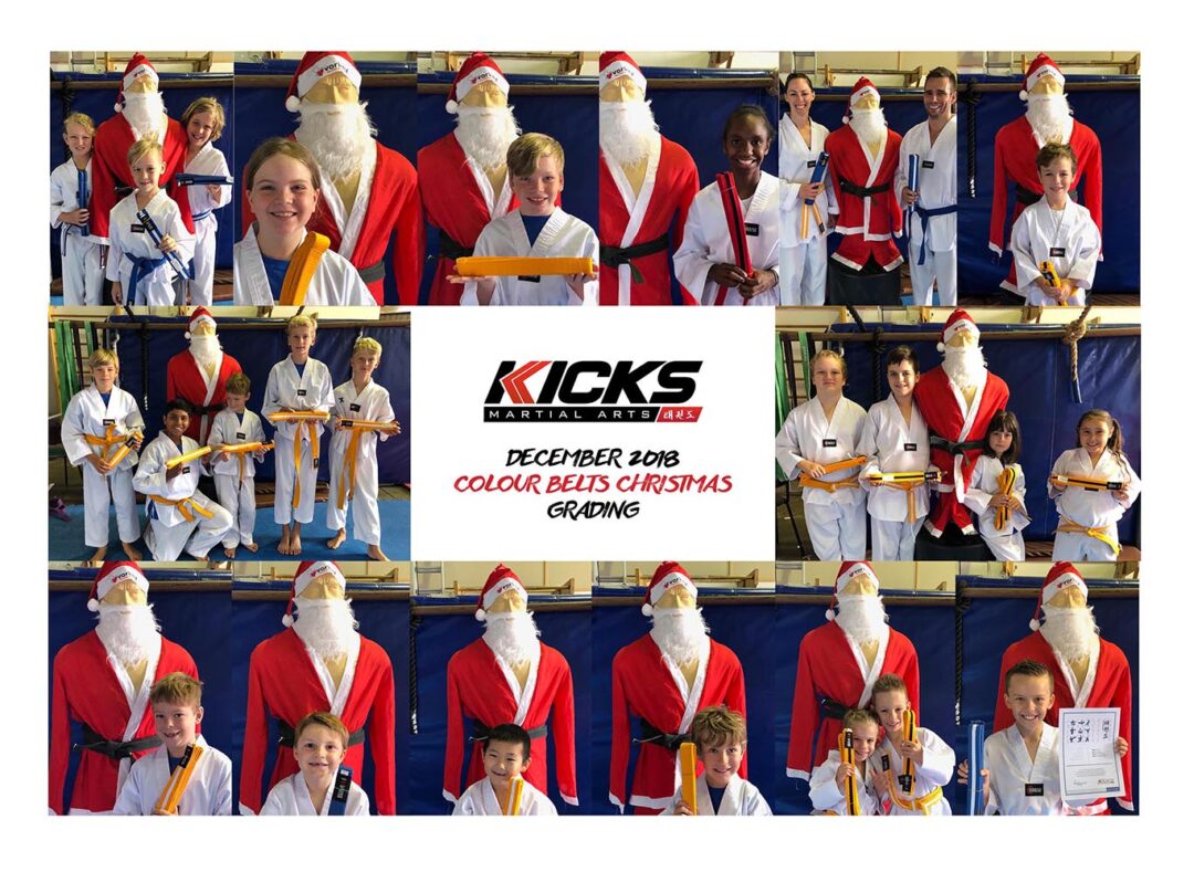 Taekwondo COLOUR BELTS