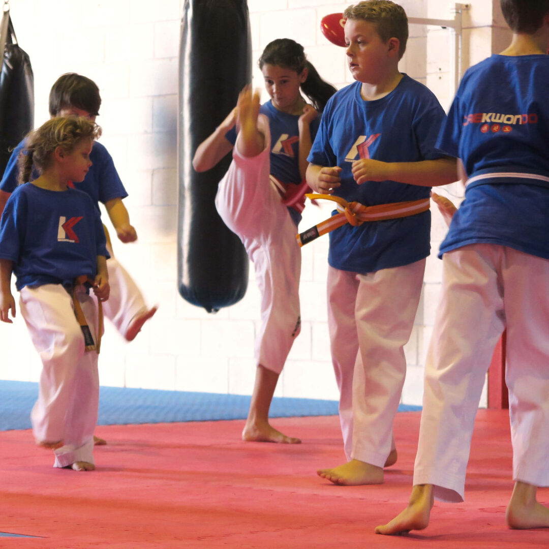 Gabby Kicking Taekwondo