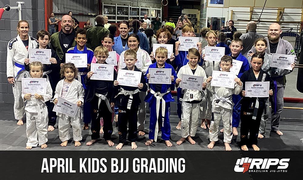 grips kids bjj grading