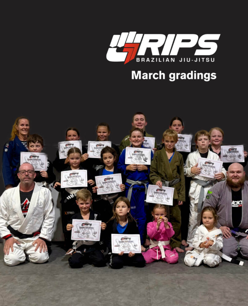kids bjj gradings