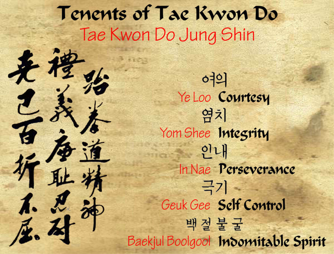 tenents of tkd